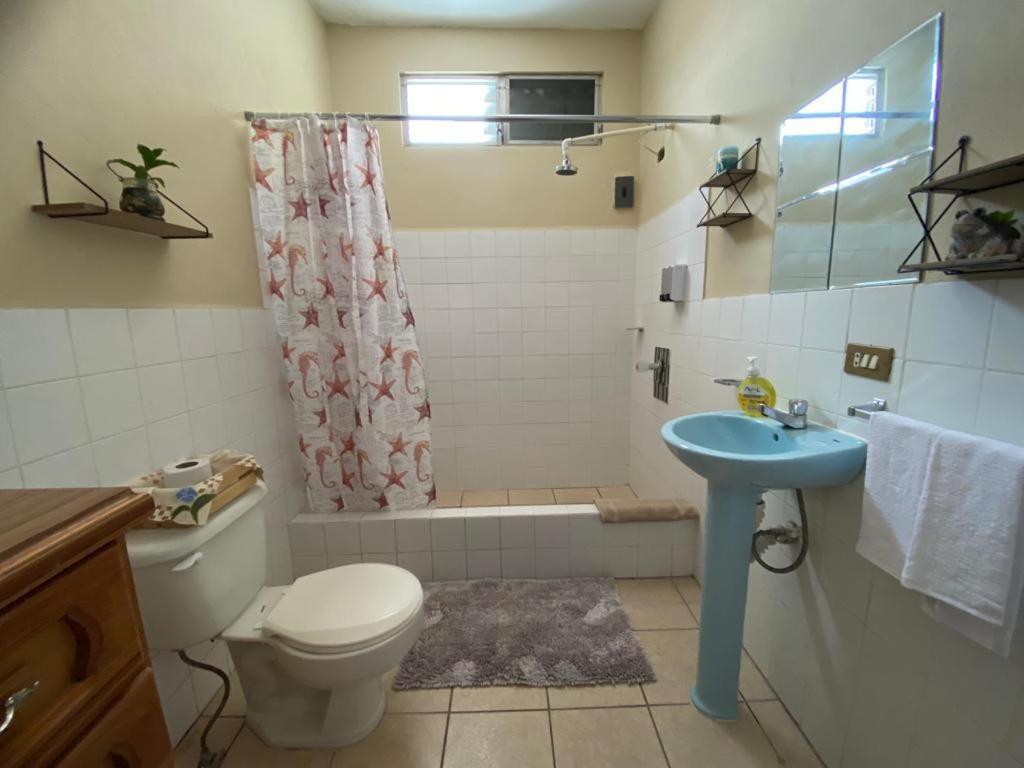 Casa Andrea Otel Flores Dış mekan fotoğraf